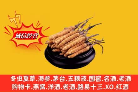克拉玛依独山子区名酒回收冬虫夏草.jpg